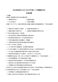 河北省保定市2026届高三上学期摸底考试生物试卷（Word版附答案）