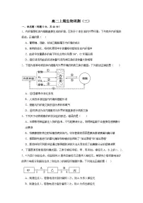 人教版2019高中生物 选择性必修1+2 高二.上期周测3 综合练习
