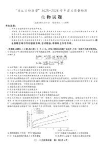 安徽省皖江名校联盟2025-2026学年高三上学期12月质量检测生物试卷（PDF版附解析）