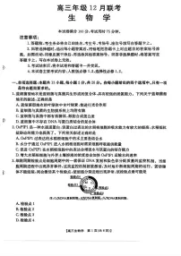 2025-2026学年河北高三上学期12月生物试题及答案