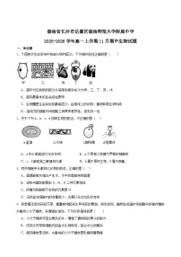 湖南师范大学附属中学2025-2026学年高一上学期期中考试生物试题（Word版附答案）