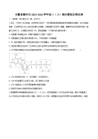 安徽省滁州市2025-2026学年高三（上）期末模拟生物试卷