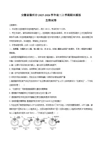 安徽省滁州市2025-2026学年高三上学期期末模拟生物试卷
