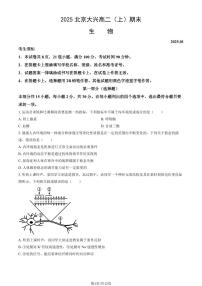 2025北京大兴高二（上）期末生物试卷   有答案