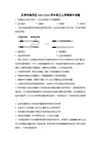 天津市南开区2025-2026学年高三上学期期中生物试卷（学生版）