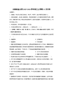 云南省金太阳2025-2026学年高三上学期11月月考生物试卷（学生版）