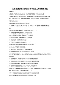 山东省潍坊市2025-2026学年高三上学期期中生物试卷（学生版）
