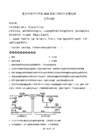 重庆市南开中学2026届高三上学期第四次质量检测生物试卷（Word版附解析）