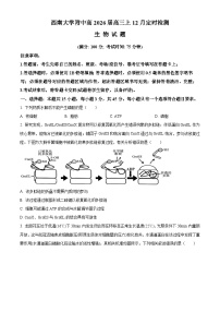 重庆市西南大学附属中学2026届高三上学期12月月考生物试卷（Word版附解析）