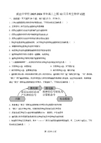 四川省内江市威远中学2025-2026学年高二上学期12月月考生物试题（Word版附解析）