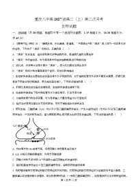 重庆市第八中学2025-2026学年高二上学期12月月考生物试题（Word版附解析）