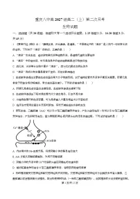 重庆市第八中学2025-2026学年高二上学期12月月考生物试题（Word版附解析）