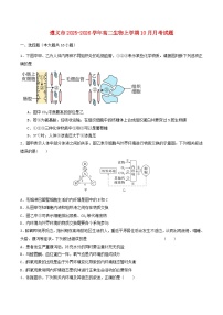 贵州省遵义市2025_2026学年高二生物上学期10月月考试题