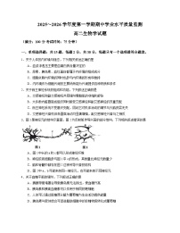 江苏省连云港市赣榆区2025-2026学年高二上学期期中考试生物试题（Word版附答案）