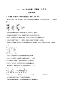 安徽省淮北市重点高中2026届高三上学期第三次月考 生物试卷（含答案）
