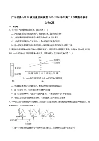 广东省佛山市S6高质量发展联盟2025-2026学年高二上学期期中联考生物试题（Word版附答案）