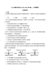 辽宁省锦州市省重点高中2025-2026学年高二上学期期中考试生物试题（Word版附答案）