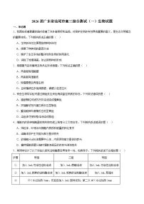 广东省汕尾市2026届高三上学期综合测试（一）生物试卷