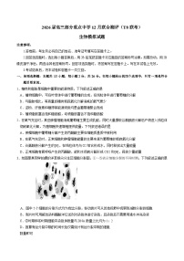 河北省部分重点中学2026届高三上学期12月联合测评（T8联考）生物试卷（含答案）