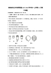 河南省商丘市商师联盟2025-2026学年高一上学期11月期中生物试卷（学生版）