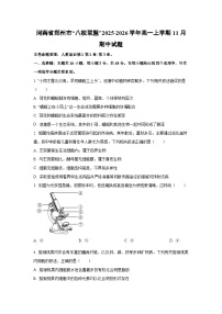 河南省郑州市“八校联盟”2025-2026学年高一上学期11月期中生物试卷（学生版）