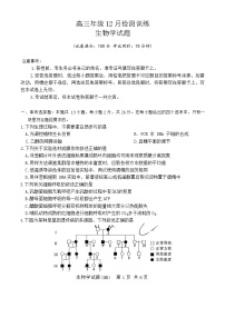 河北省八省联考（T8联盟）2025-2026学年高三上学期12月检测生物试题（含答案）