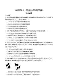 河南省TOP二十名校2026届高三上学期12月调研考试二生物试卷（Word版附答案）