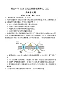 陕西省西安中学2025-2026学年高三上学期质量检测生物试卷（三）（含答案）含答案解析