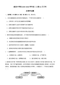 四川省内江市威远中学校2025-2026学年高二上学期12月月考生物试题（含部分解析）
