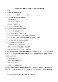 吉林省顶级名校2025-2026学年高一上学期12月月考试题 生物（含答案）