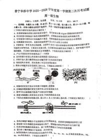 广东省揭阳市普宁市华侨中学2025-2026学年高一上学期12月月考生物试题