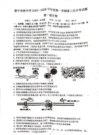 广东省揭阳市普宁市华侨中学2025-2026学年高一上学期12月月考生物试题
