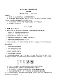 四川省成都市重点高中2025-2026学年高一上学期12月期中考试试题 生物（含答案）
