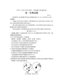 山东省枣庄市重点高中2025-2026学年高一上学期12月期中质量检测 生物试卷（含答案）