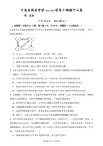 河南省实验中学2025-2026学年高二上学期期中考试生物试卷（含答案）