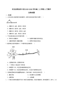 河北省保定市十校2025-2026学年高二上学期期中考试 生物 Word版含答案含答案解析
