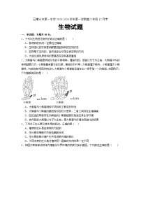 宁夏回族自治区石嘴山市惠农区第一中学2025-2026学年高二上学期12月月考生物试题（含答案）含答案解析