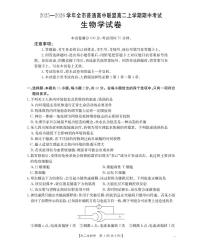 内蒙古赤峰市松山区全市普通高中联盟2025-2026学年高二上学期期中考试（26-141B）生物试卷（含答案）