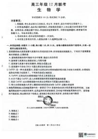 河北省2026届高三上学期12月联考（26-150C）生物试卷（含答案