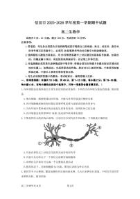 广东省茂名市信宜市2025-2026学年高二上学期11月期中考试生物试题（PDF版附答案）