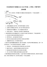 河北省保定市六校联盟2025-2026学年高二上学期期中联考生物试题（Word版附答案）