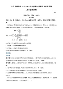 北京市朝阳区2024-2025学年高二上学期期末考试生物试题（Word版附解析）