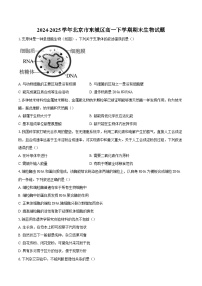 北京市东城区2024-2025学年高一下学期期末考试生物试题（Word版附解析）