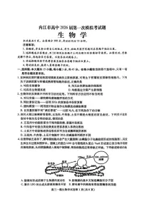内江市高中2026届第一次高考模拟考试题生物试卷+答案