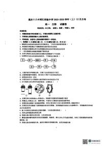 重庆市十八中两江实验中学2025-2026学年高一上学期12月月考生物试题