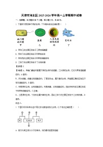 【生物】天津市河北区2025-2026学年高一上学期期中试卷（学生版+解析版）
