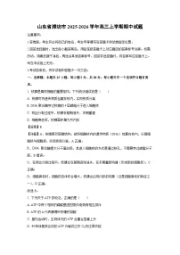 【生物】山东省潍坊市2025-2026学年高三上学期期中试题（学生版+解析版）