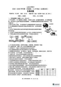 山西省太原市山西大学附属中学校2025-2026学年高二上学期12月月考生物含答案解析
