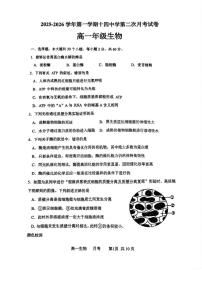 2025-2026学年天津市河北区14中高一上学期第二次月考生物试题（有答案）