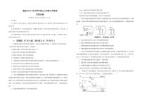 2025-2026学年甘肃省陇南市康县联考高三上学期12月月考生物试题（有解析）